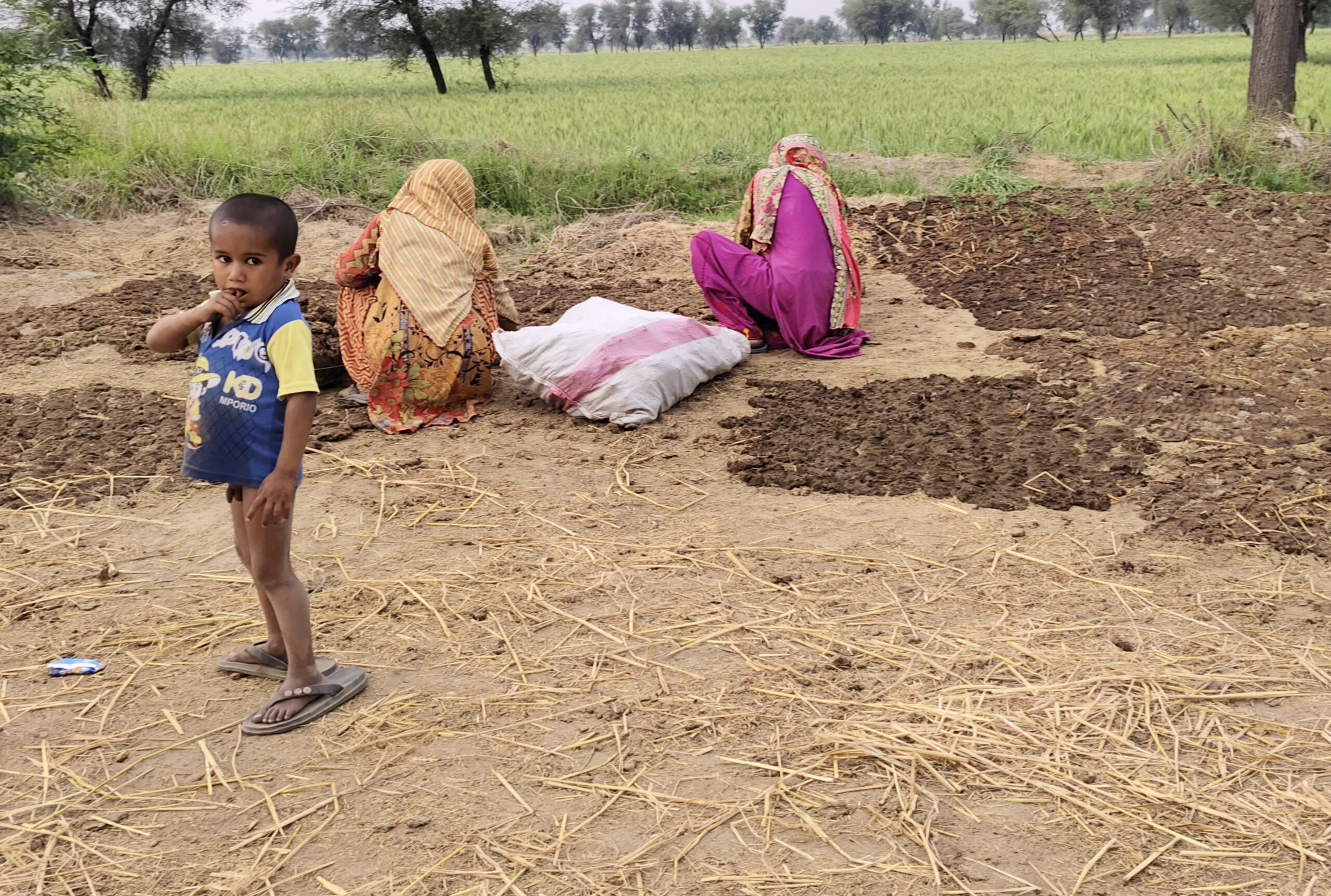 Women in Kashmore Katcha are placing cow dung to dry so it can be used for cooking and to protect cattle from mosquitoes. Picture Credit-Khoso Saifullah